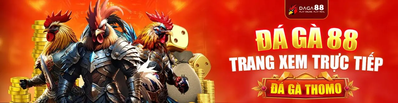 Đá gà trực tuyến 123b bet với trận đấu kịch tính